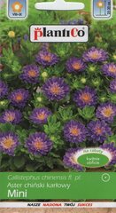 Astri segu Mini Violet цена и информация | Семена цветов | kaup24.ee