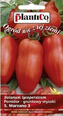 Tomatid San Marzano 3 hind ja info | Köögivilja-, marjaseemned | kaup24.ee