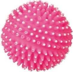 Игольчатый мячик Trixie, 16 см цена и информация | Игрушки для собак | kaup24.ee