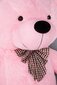 Palus karu Blubell Kids, 160 cm, roosa цена и информация | Pehmed mänguasjad | kaup24.ee
