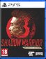 Shadow Warrior 3 Definitive Edition, PS5 цена и информация | Arvutimängud, konsoolimängud | kaup24.ee