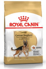 Kuivtoit Royal Canin täiskasvanud Saksa lambakoertele, 11 kg цена и информация | Сухой корм для собак | kaup24.ee