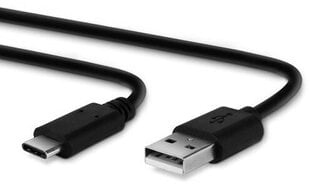 Ricoh I-USB173 цена и информация | Кабели и провода | kaup24.ee