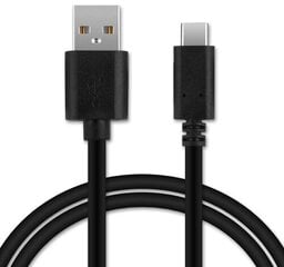 Ricoh I-USB173 цена и информация | Кабели и провода | kaup24.ee