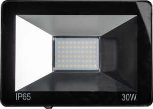 Omega LED прожектор 30W 4200K (43861) цена и информация | Фонари и прожекторы | kaup24.ee
