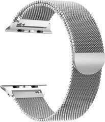 Tech-Protect Watch Band Silver hind ja info | Nutikellade ja nutivõrude tarvikud | kaup24.ee