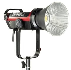Aputure LS C300D Mark II цена и информация | Осветительное оборудование для фотосъемок | kaup24.ee