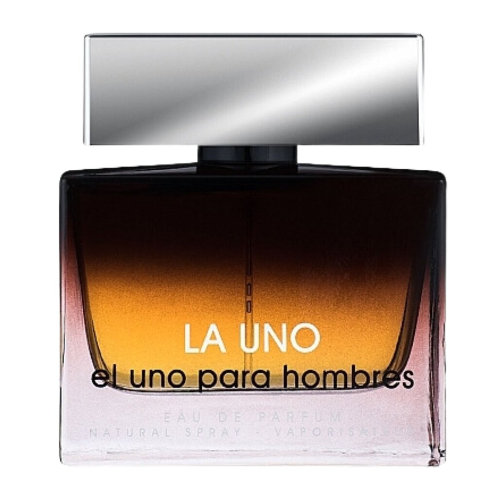 Parfüümvesi La Uno el uno para hombres Fragrance World naistele, 100 ml цена и информация | Meeste parfüümid | kaup24.ee