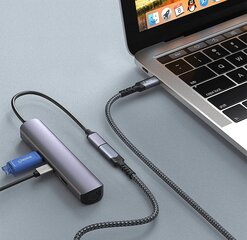 Reagle USB-C 3.2 Thunderbolt Extender 100W 4K@60Hz 0.5m цена и информация | Borofone 43757-uniw | kaup24.ee