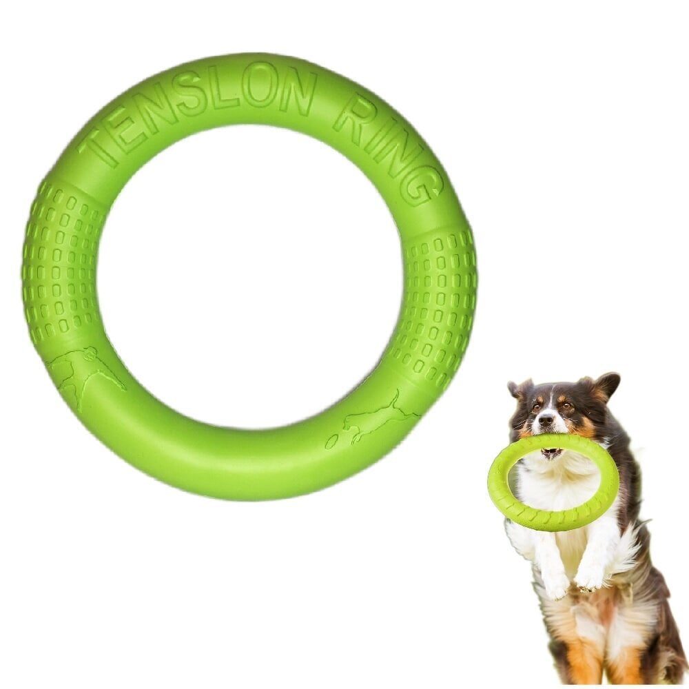 Mänguasi koerale, rõngas, roheline, 28 cm hind ja info | Mänguasjad koertele | kaup24.ee