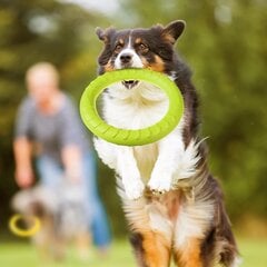 Игрушка для собак – кольцо, зеленый, 28 см цена и информация | Игрушки для собак | kaup24.ee