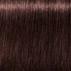 Краска для волос Schwarzkopf Professional Igora Royal 60 мл, оттенок 6-68, темно-русый / шоколадно-красный цена и информация | Краска для волос | kaup24.ee