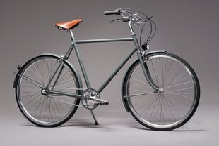 Велосипед Pelago Bristol 3-v M, серый цвет цена и информация | Велосипеды | kaup24.ee