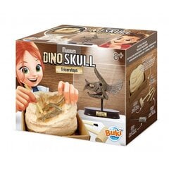 Triceratopsisauruse pealuu Buki цена и информация | Развивающие игрушки | kaup24.ee