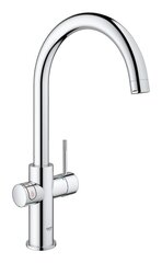 Köögisegisti veesoojendi ja filtriga Grohe Red Duo 30083001, 4 L цена и информация | Кухонные смесители  | kaup24.ee