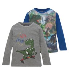 Poiste pluusid Kidsworld Dino, 2 tk hind ja info | Poiste särgid | kaup24.ee