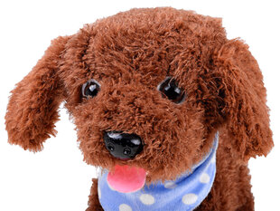 Interaktiivne koer rihma otsas hind ja info | Tüdrukute mänguasjad | kaup24.ee