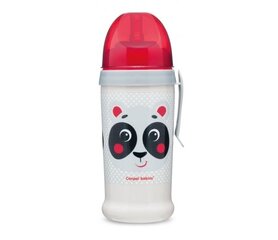 Lekkevaba joogipudel silikoonist kõrrega CANPOL, 12 kuud+, 350ml, panda (beige) цена и информация | Бутылочки и аксессуары | kaup24.ee