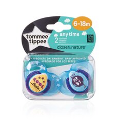 Silikoonist lutt Tommee Tippee Fun, 6-18 kuud, 2 tk цена и информация | Пустышки | kaup24.ee