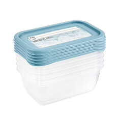Toidu sügavkülma konteinerite komplekt, 5 tk цена и информация | Посуда для хранения еды | kaup24.ee