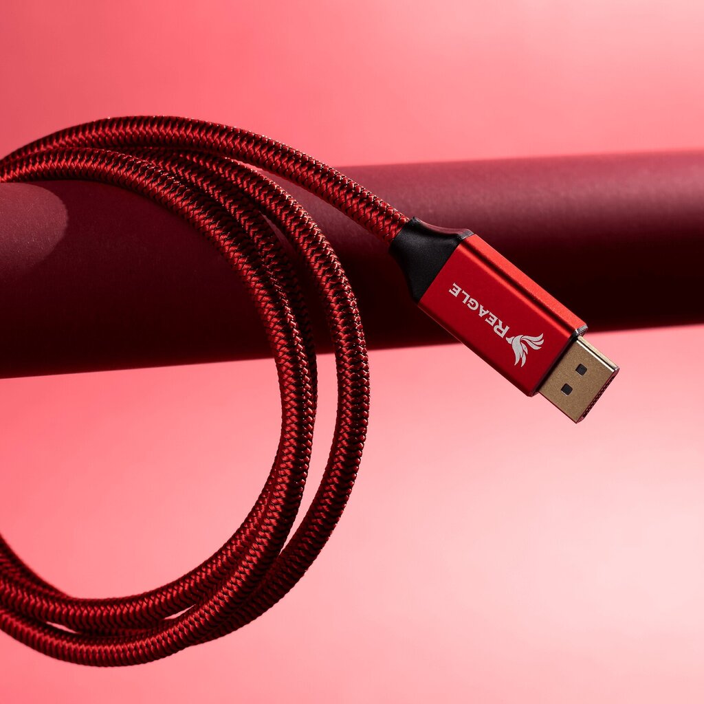 Reagle DisplayPort 1.4 DP-DP 8K60Hz 4K kaabel, 2m цена и информация | Kaablid ja juhtmed | kaup24.ee