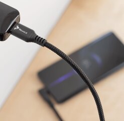 Reagle'i RUCA500KL USB-A - USB-C kaabel цена и информация | Адаптеры и USB-hub | kaup24.ee