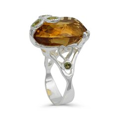 Серебряное (925) кольцо с драгоценными камнями, код f50338, EU-54 (~17,25 мм) F50338EU-54 цена и информация | Кольца | kaup24.ee