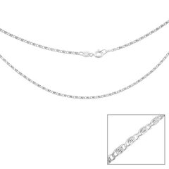 Цепочка из серебра 925 пробы с классическим дизайном, код ah8sn14l55, 45 см, AH8SN14L5545 CM цена и информация | Украшения на шею | kaup24.ee