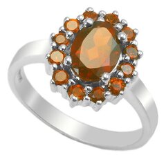 Серебряное (925) кольцо с драгоценными камнями, код ah50304, EU-53 (~16,75 мм) AH50304EU-53 цена и информация | Кольцо | kaup24.ee