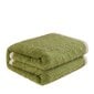 Ümberpööratav villane vooditekk, roheline hind ja info | Tekid | kaup24.ee