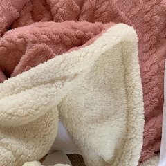 Двустороннее шерстяное одеяло для кровати, розовое цена и информация | Одеяла | kaup24.ee