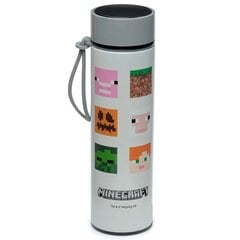 Minecraft termosed roostevabast terasest pudeli termomeeter 450ml hind ja info | Termosed, termostassid | kaup24.ee