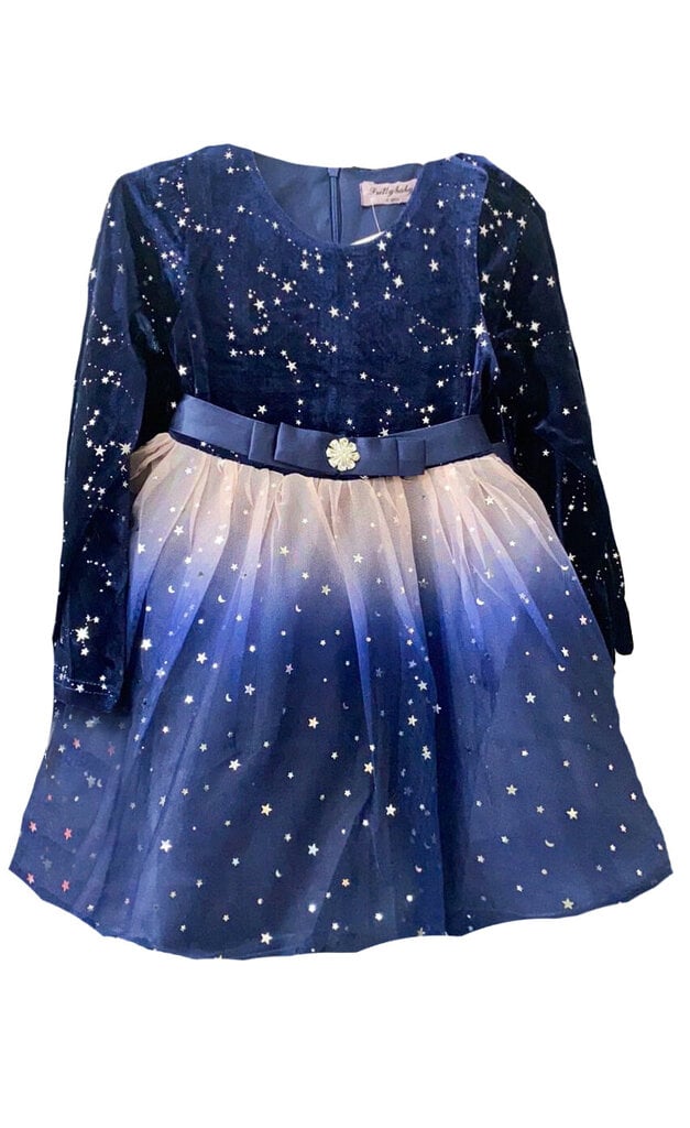 Kleit tüdrukule, sinine цена и информация | Tüdrukute kleidid | kaup24.ee
