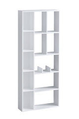 Raamaturiiul Asir, 75x170x18 cm, valge hind ja info | Riiulid | kaup24.ee
