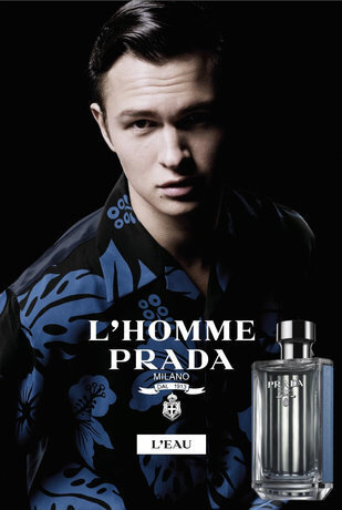 Tualettvesi Prada L'Homme L'Eau EDT meestele 50 ml цена и информация | Meeste parfüümid | kaup24.ee
