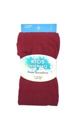 Termosukkpüksid lastele Kids Thermo 50814, bordoo цена и информация | Носки, колготки для мальчиков | kaup24.ee