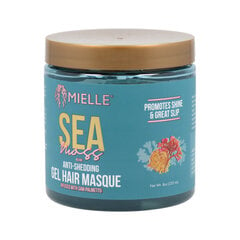 Капиллярная маска Mielle Sea Moss (235 ml) цена и информация | Маски, масла, сыворотки | kaup24.ee
