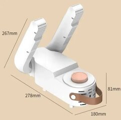 Antibakteriaalne jalatsikuivati Electronics LV-193, 1 tk цена и информация | Уход за одеждой и обувью | kaup24.ee