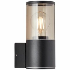 Настенный светильник Brilliant Sergioro Внешний E27 Чёрный 20 W цена и информация | Уличное освещение | kaup24.ee