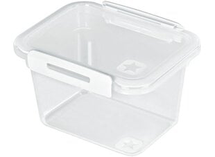 Герметичный пищевой контейнер Rotho Memory 0,85 Л цена и информация | Посуда для хранения еды | kaup24.ee