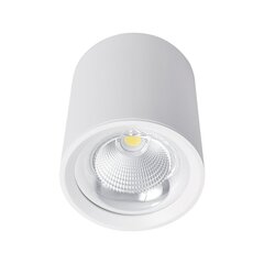 Elmark LED-laevalgusti Flcom цена и информация | Потолочные светильники | kaup24.ee