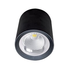 Elmark LED-laevalgusti Flcom hind ja info | Laelambid | kaup24.ee