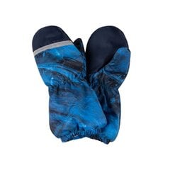 Lenne детские варежки Snow 23175 A*2224, 4741593410062, синий цена и информация | Шапки, перчатки, шарфы для мальчиков | kaup24.ee