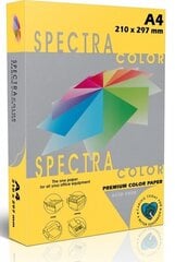 Цветная бумага SPECTRA COLOR, А4, 80г/м2, 500 листов, IT200 GOLD (насыщенный золотой сп.) цена и информация | Тетради и бумажные товары | kaup24.ee