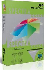 Цветная бумага SPECTRA COLOR, А4, 160г/м2, 250 листов, IT230 PARROT (интенсивный зеленый сп.) цена и информация | Тетради и бумажные товары | kaup24.ee