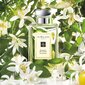 Odekolonn Jo Malone Orange Blossom EDC meestele/naistele 30 ml цена и информация | Naiste parfüümid | kaup24.ee