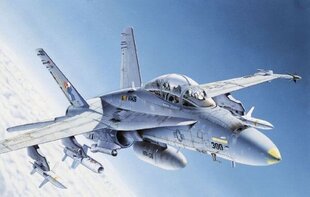 Italeri Пластиковая модель F/A-18 C/D Wild Weasel цена и информация | Конструкторы и кубики | kaup24.ee