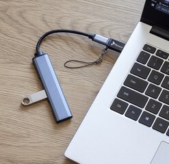 Reagle OTG adapter USB-A USB-C 3.2 100W цена и информация | Адаптеры и USB-hub | kaup24.ee