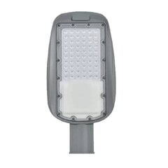 prague smd led street light 30w 3000k ip65 high efficiency цена и информация | Уличное освещение | kaup24.ee