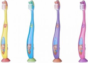 Hambahari Brush-Baby Flossbrush 6+ aastat, 4 värvi цена и информация | Для ухода за зубами | kaup24.ee